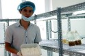 Ch&agrave;ng trai 9X b&aacute;n v&eacute; số dạo trồng th&agrave;nh c&ocirc;ng đ&ocirc;ng tr&ugrave;ng hạ thảo