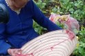 Chua x&oacute;t cảnh trẻ nhỏ, người gi&agrave; b&aacute;n v&eacute; số k&ecirc;u g&agrave;o thảm thương giữa S&agrave;i G&ograve;n