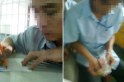 L&ocirc; đề bủa qu&acirc;y khu c&ocirc;ng nghiệp