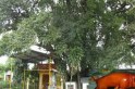 Chuyện Miếu C&acirc;y Tr&acirc;m thi&ecirc;ng, cho số tr&uacute;ng độc đắc?